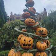 ヒメ日記 2025/10/16 22:14 投稿 まりあ WOWOW UENO HEALTH STATION