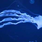 ヒメ日記 2025/10/23 13:38 投稿 まりあ WOWOW UENO HEALTH STATION