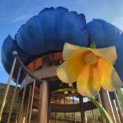 ヒメ日記 2025/11/04 13:20 投稿 まりあ WOWOW UENO HEALTH STATION