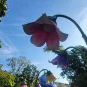 ヒメ日記 2026/01/21 13:00 投稿 まりあ WOWOW UENO HEALTH STATION