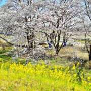 ヒメ日記 2025/04/09 13:31 投稿 りんか ぽちゃ・巨乳専門店　太田足利ちゃんこ