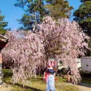 ヒメ日記 2025/04/10 15:16 投稿 小松想乃美(こまつそのみ) 五十路マダムエクスプレス厚木店(カサブランカグループ)