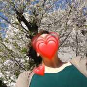 ヒメ日記 2026/04/03 15:58 投稿 小松想乃美(こまつそのみ) 五十路マダムエクスプレス厚木店(カサブランカグループ)