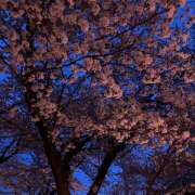 ヒメ日記 2025/04/15 09:41 投稿 真白-ましろ 熟女10000円デリヘル 川崎