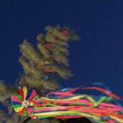 ヒメ日記 2025/07/25 09:46 投稿 真白-ましろ 熟女10000円デリヘル 川崎