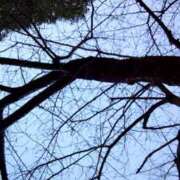 ヒメ日記 2025/02/12 08:37 投稿 みやび 蒼いうさぎ