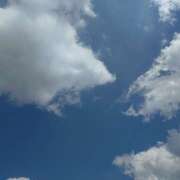 ヒメ日記 2025/04/14 22:38 投稿 みやび 蒼いうさぎ