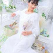 ヒメ日記 2025/03/17 07:30 投稿 浜川楓 ハールブルク