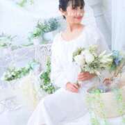 ヒメ日記 2025/04/03 07:30 投稿 浜川楓 ハールブルク