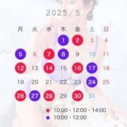 ヒメ日記 2025/04/08 18:02 投稿 浜川楓 ハールブルク