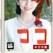 ヒメ日記 2025/04/18 22:13 投稿 浜川楓 ハールブルク