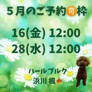 ヒメ日記 2025/05/14 08:37 投稿 浜川楓 ハールブルク