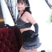 ヒメ日記 2025/05/17 08:15 投稿 浜川楓 ハールブルク