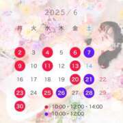 ヒメ日記 2025/05/19 09:54 投稿 浜川楓 ハールブルク