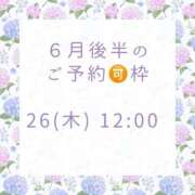 ヒメ日記 2025/06/22 18:15 投稿 浜川楓 ハールブルク