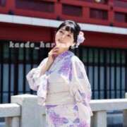 ヒメ日記 2025/07/11 07:30 投稿 浜川楓 ハールブルク