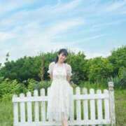 ヒメ日記 2025/07/13 08:15 投稿 浜川楓 ハールブルク