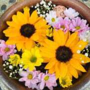 ヒメ日記 2025/08/02 09:06 投稿 浜川楓 ハールブルク