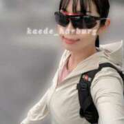 ヒメ日記 2025/10/12 14:32 投稿 浜川楓 ハールブルク