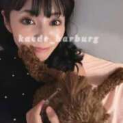 ヒメ日記 2025/10/16 17:40 投稿 浜川楓 ハールブルク