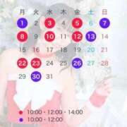 ヒメ日記 2025/10/28 12:38 投稿 浜川楓 ハールブルク