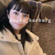 ヒメ日記 2025/11/14 13:52 投稿 浜川楓 ハールブルク