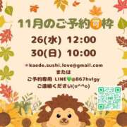 ヒメ日記 2025/11/17 09:06 投稿 浜川楓 ハールブルク