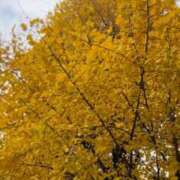 ヒメ日記 2025/12/03 07:39 投稿 浜川楓 ハールブルク