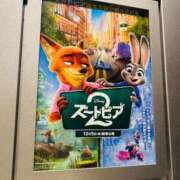 ヒメ日記 2025/12/11 13:10 投稿 浜川楓 ハールブルク