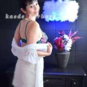 ヒメ日記 2025/12/24 11:45 投稿 浜川楓 ハールブルク