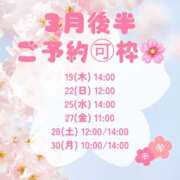 ヒメ日記 2026/03/05 07:30 投稿 浜川楓 ハールブルク