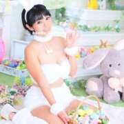 ヒメ日記 2026/03/10 11:53 投稿 浜川楓 ハールブルク