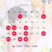 ヒメ日記 2026/03/11 11:45 投稿 浜川楓 ハールブルク