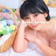 ヒメ日記 2026/03/17 07:30 投稿 浜川楓 ハールブルク