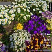 ヒメ日記 2026/03/18 12:41 投稿 浜川楓 ハールブルク