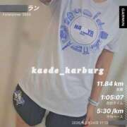 ヒメ日記 2026/03/24 20:29 投稿 浜川楓 ハールブルク