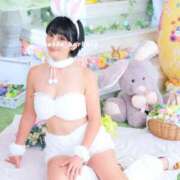 ヒメ日記 2026/03/25 07:30 投稿 浜川楓 ハールブルク