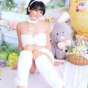 ヒメ日記 2026/03/27 19:19 投稿 浜川楓 ハールブルク