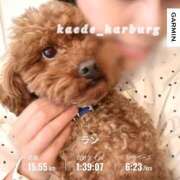 ヒメ日記 2026/03/29 11:45 投稿 浜川楓 ハールブルク