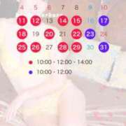 ヒメ日記 2026/04/09 21:36 投稿 浜川楓 ハールブルク