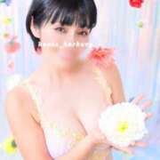 ヒメ日記 2026/04/12 08:15 投稿 浜川楓 ハールブルク