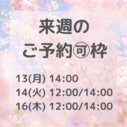 ヒメ日記 2026/04/12 14:40 投稿 浜川楓 ハールブルク