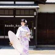 ヒメ日記 2026/06/14 08:15 投稿 浜川楓 ハールブルク