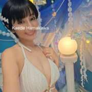 ヒメ日記 2026/07/11 08:15 投稿 浜川楓 ハールブルク