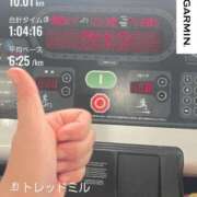 ヒメ日記 2026/07/30 12:04 投稿 浜川楓 ハールブルク