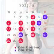 ヒメ日記 2026/08/06 17:15 投稿 浜川楓 ハールブルク