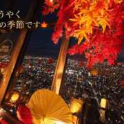 ヒメ日記 2026/10/08 07:15 投稿 浜川楓 ハールブルク
