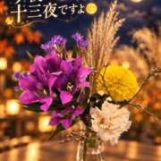 ヒメ日記 2026/10/23 07:15 投稿 浜川楓 ハールブルク