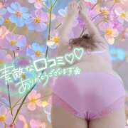 ヒメ日記 2025/05/02 01:04 投稿 しおみ 熟女の風俗最終章 新潟店