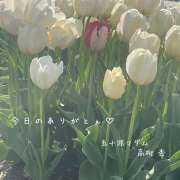 ヒメ日記 2025/05/10 14:22 投稿 高柳杏 五十路マダム愛されたい熟女たち 倉敷店（カサブランカグループ）